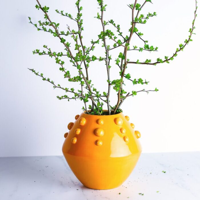 wazon_orange