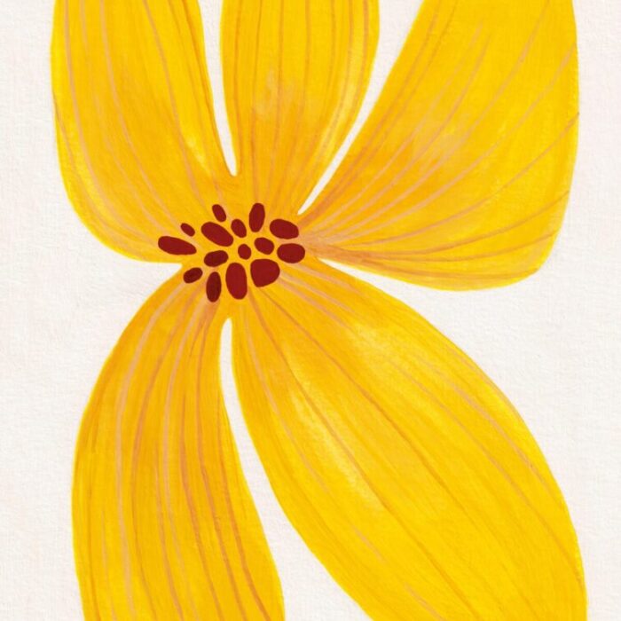 Żółty pierwiosnek